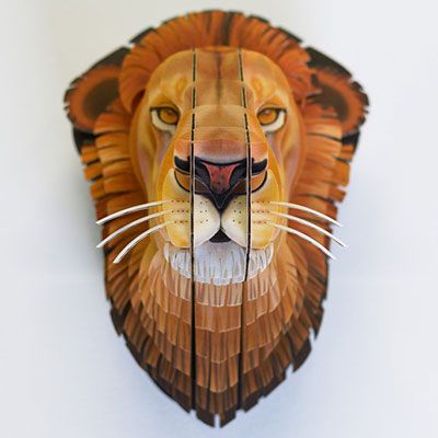 Photo of Cardboard Safari Photo of Cardboard Safari