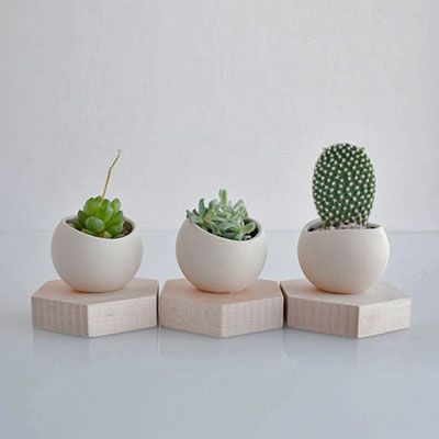 Photo of Light and Ladder Photo of Light and Ladder