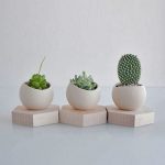 Photo of Light and Ladder Photo of Light and Ladder