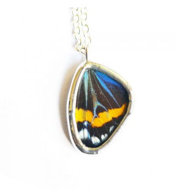 Photo of House That Crow Built Photo of House That Crow Built