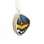 Photo of House That Crow Built Photo of House That Crow Built