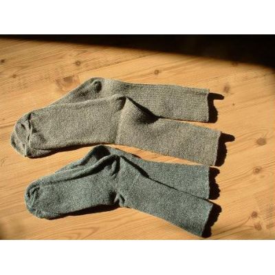 Photo of Maple Winds Farm Photo of Maple Winds Farm