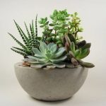 Photo of Rough Fusion Photo of Rough Fusion