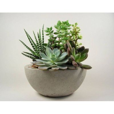 Photo of Rough Fusion Photo of Rough Fusion