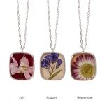 Photo of Shari Dixon Photo of Shari Dixon