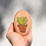 Photo of SoFino Photo of SoFino