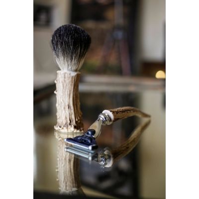 Photo of The Dapper Fox Photo of The Dapper Fox