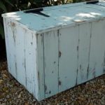 Photo of Trunkspot Photo of Trunkspot